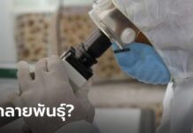 ทีมวิจัยสหรัฐฯ พบเชื้อโควิด-19 กลายพันธุ์รอบใหม่ แพร่เชื้อไวกว่าเดิม