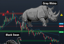 ASML01 กราฟแสดงความเสี่ยง (Gray Rhino & Black Swan) สำหรับหุ้นแนะนำ: จับตา ASML01 21/7/68